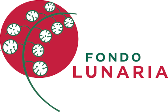 Fondo Lunaria